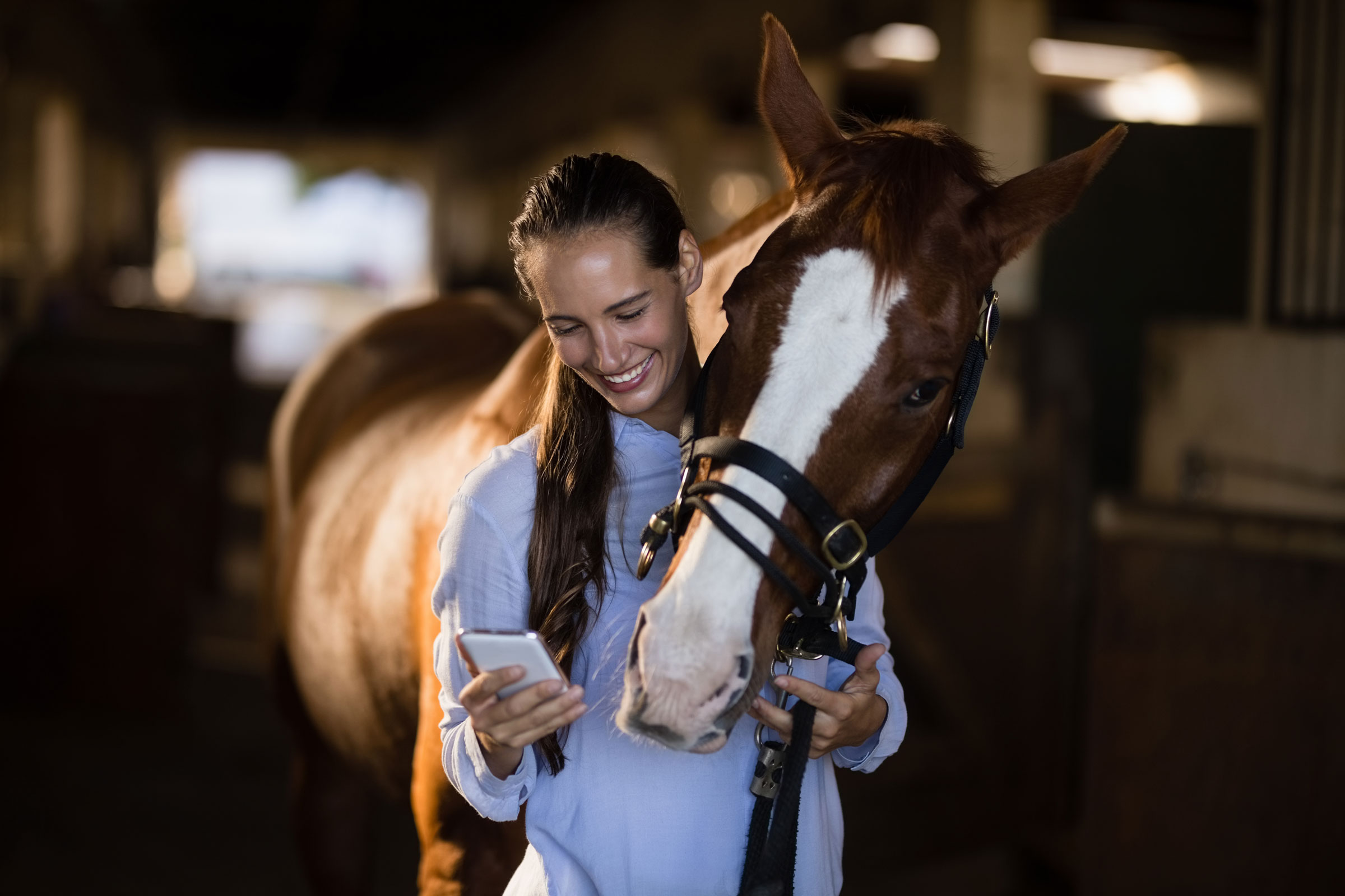 CHA Horse Industry Job Board Stable Management