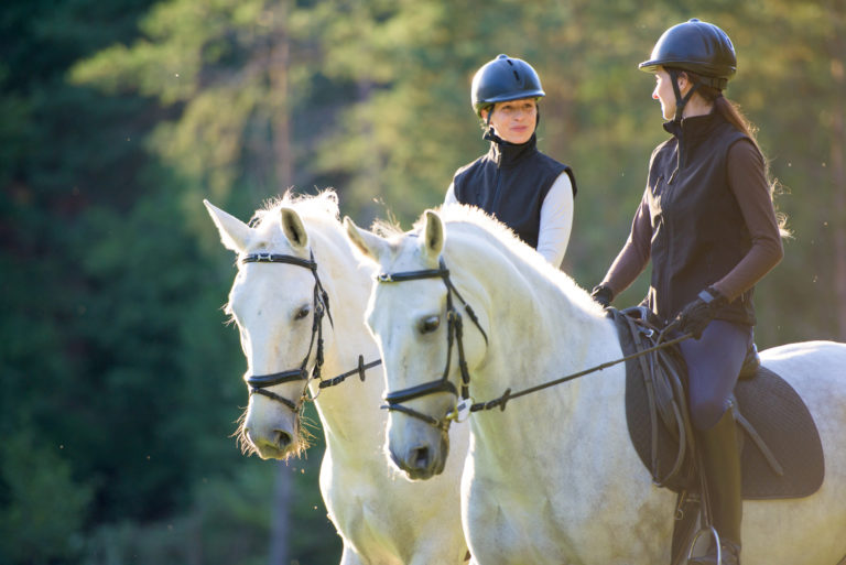 girls-gray-horses-riding-happy-English-iStock-credit-simonkr-506989358-2400
