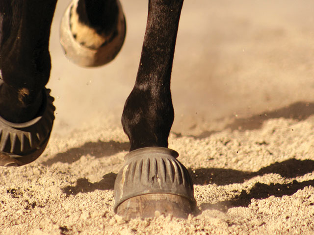 Give New Life To Your Arena Footing promo image