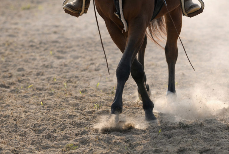 Glucosamine Research Shows Postive Potential promo image