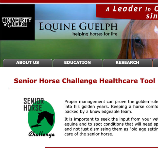 Guelph-Senior-Horse-Challenge-Healthcare-Tool-cropped-623