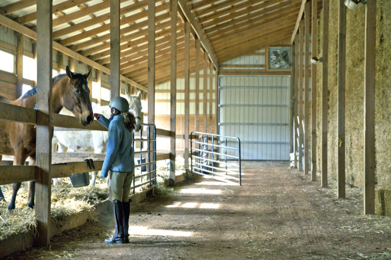 Handling Difficult Personalities at Your Barn or Stable promo image