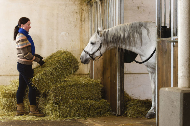 hay-barn-stall-girl-gray-horse-2400