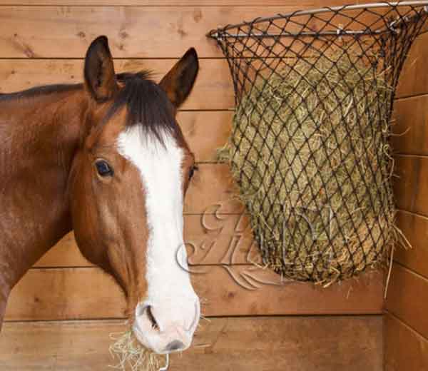 Hay-Chix-corner-feeder-600