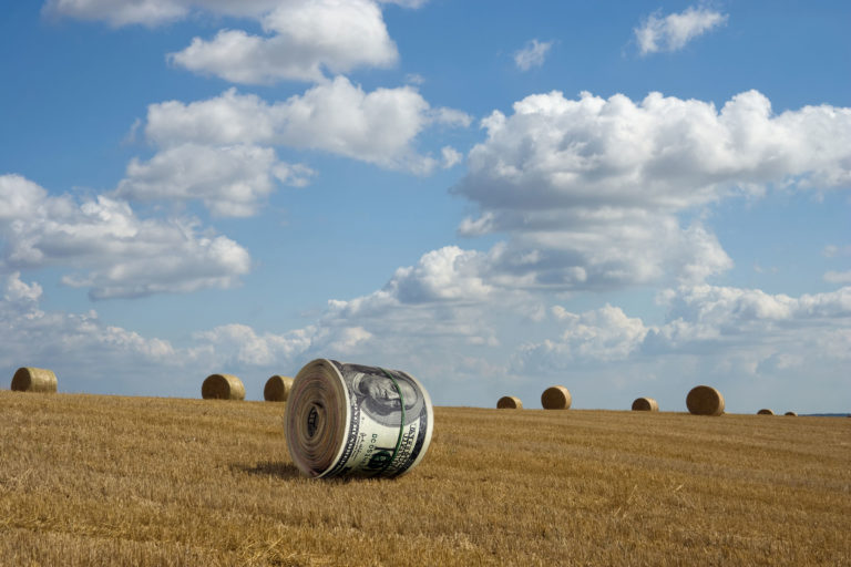 hay-round-bales-rolled-money-iStock-95490100-2400