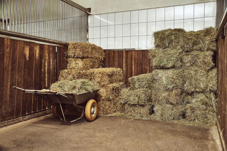 hay-small-stack-wheelbarrow-in-barn-iStock-Sergey-Nazarov-623450084-2400