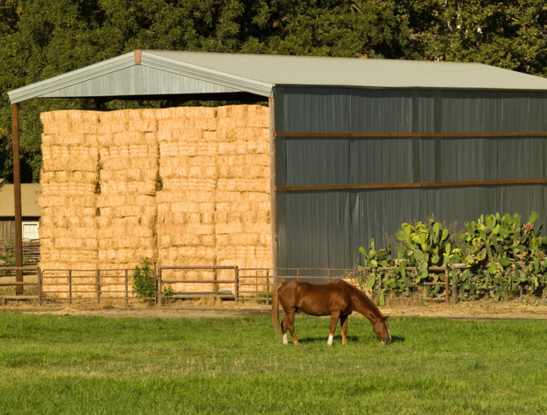hay-stacked-in-shed-horse-foreground-iStock-92251206-2400