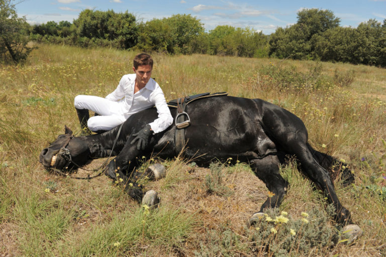 'Heart Attacks' and Heart Disease in Horses promo image
