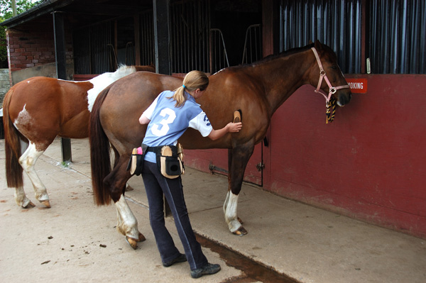 Helping the Helpers: What You Need to Know Before You Volunteer at a Horse Rescue promo image