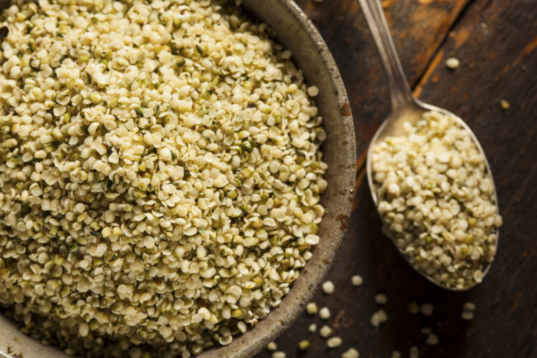 Hemp Seeds Rival Soybeans in Protein Quality promo image