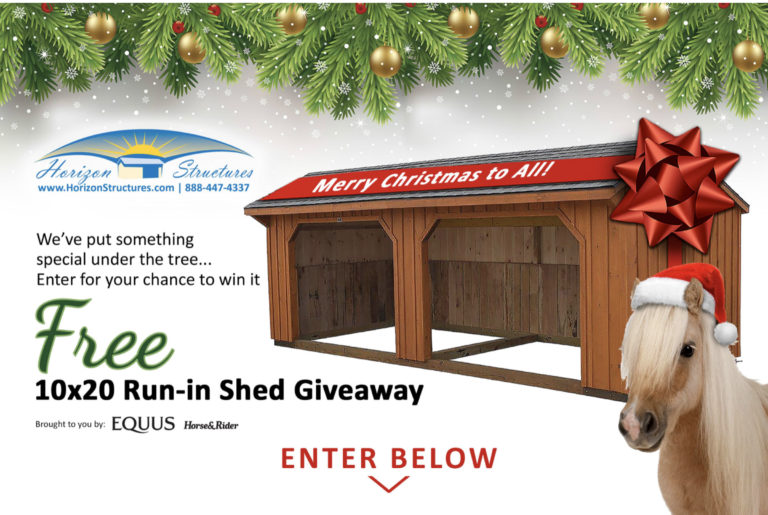 Horizon-run-in-shed-sweepstakes-2400