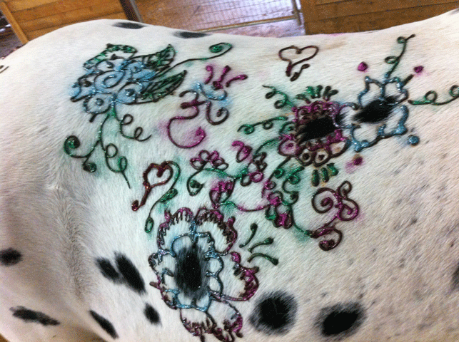 Horse Body Art: Henna for Horses promo image