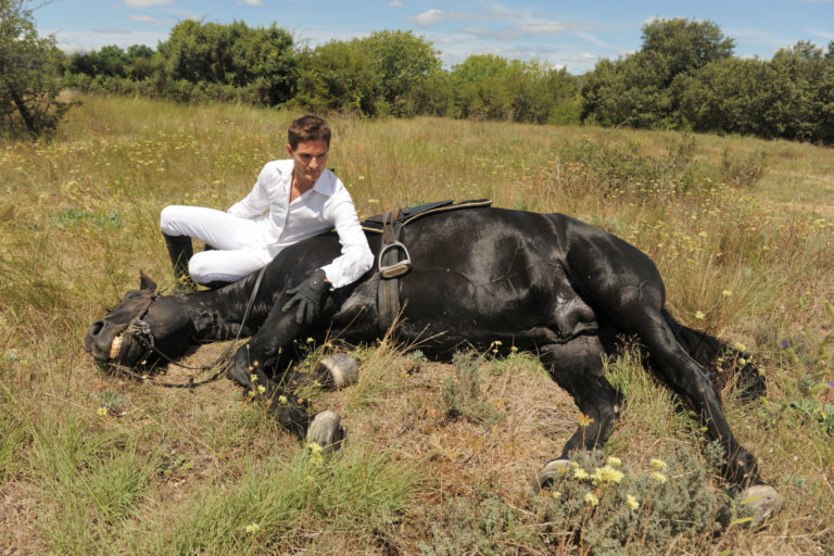 horse-down-with-man-and-saddle-p