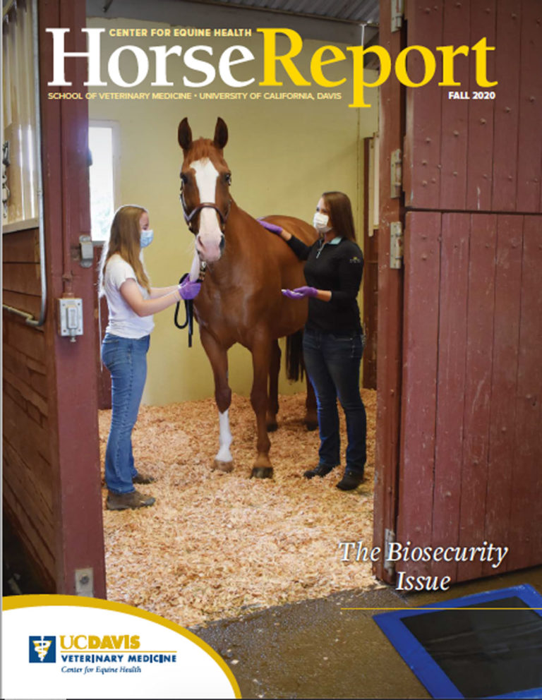 Horse-Report-fall-cover-1200