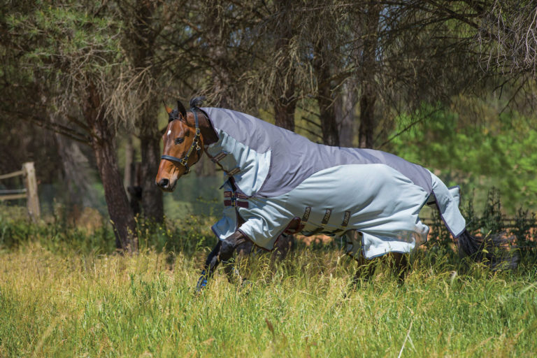 Horseware Amigo Three In One promo image
