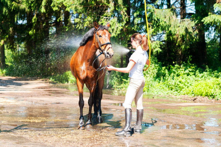 hosing-horse-outside-girl-iStock-609792374-2400