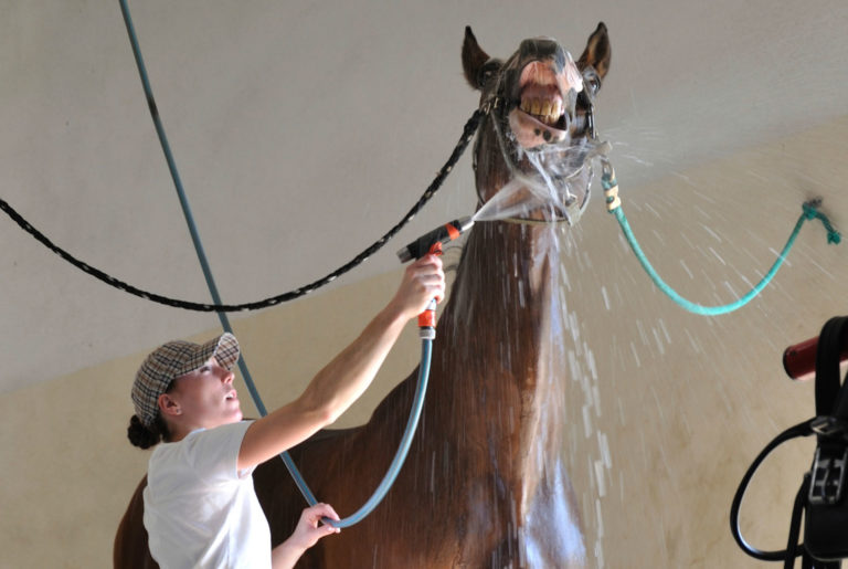 How Can I Get Hot Water in My Horse Barn? promo image