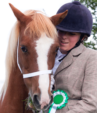 HSUS Sponsors Tennessee Walking Horse World Versatility Show promo image