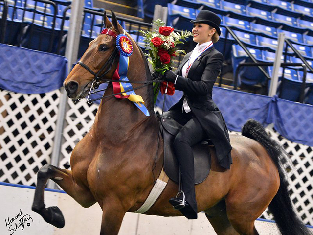 Hunter Chancellor Claims USEF Saddle Seat Medal Final Title promo image