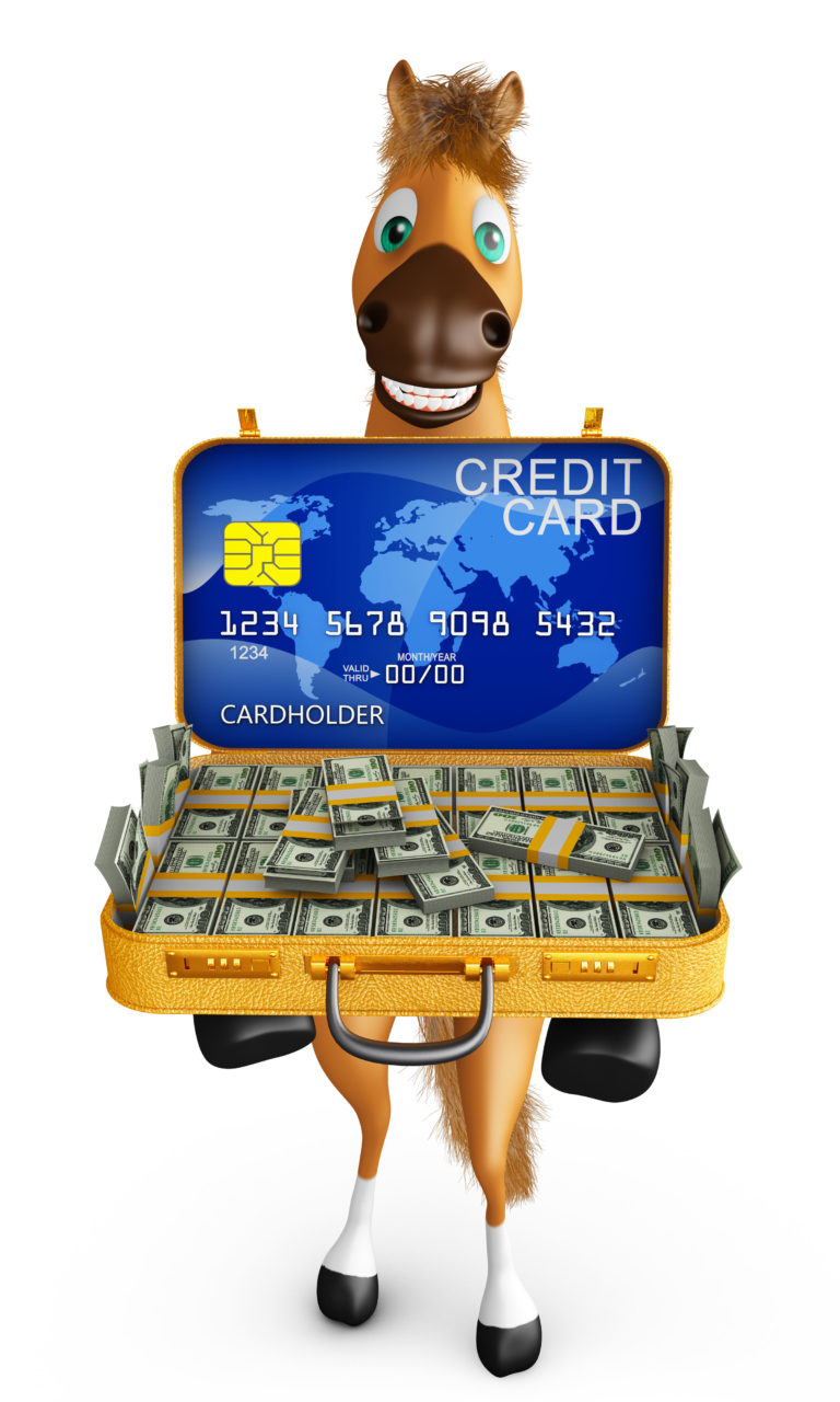 illus-credit-card-horse-money-iStock-664246932-2400