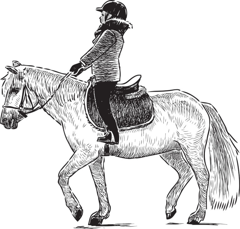 illus-riding-lesson-girl-pony-bxw-iStock-678147930-2400
