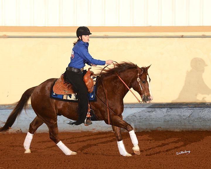 Inaugural World Para Reining Event promo image