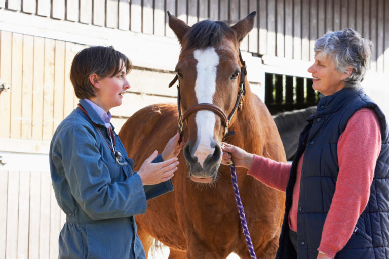 Influenza in Horses: Types of Vaccines promo image