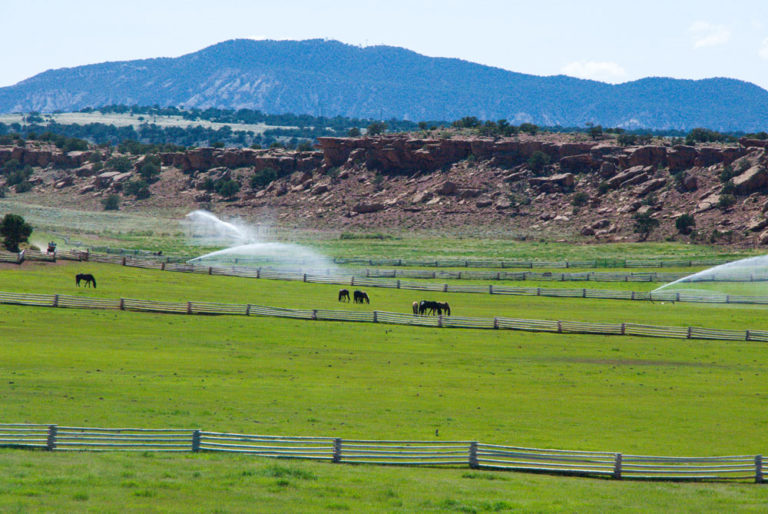 irrigation-pasture-horses-iStock-Robert-Ford-505251263-1000
