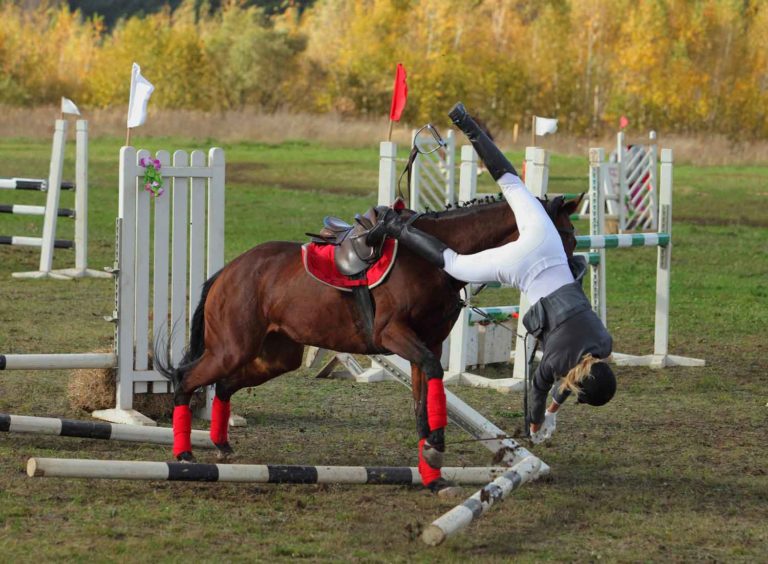 Is Your Horse At Risk for EHV-1? promo image