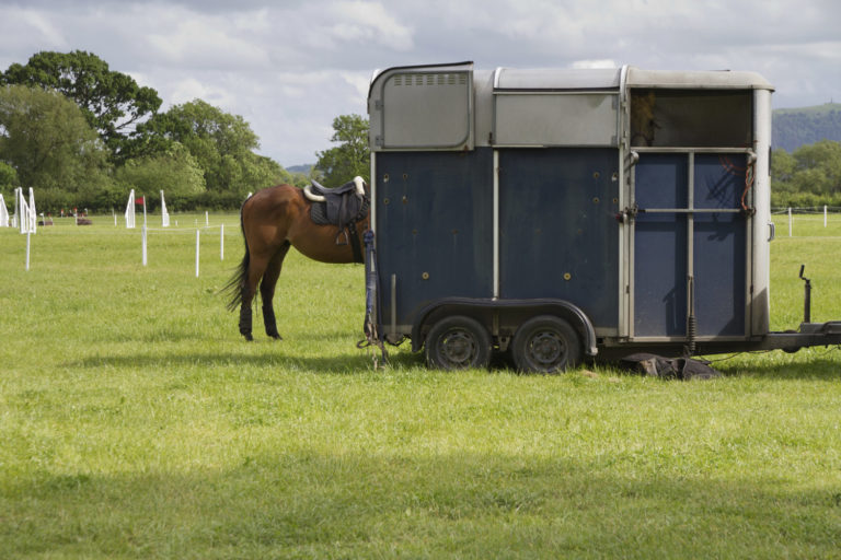It's Time to Sell Your Horse Trailer; Now What? promo image