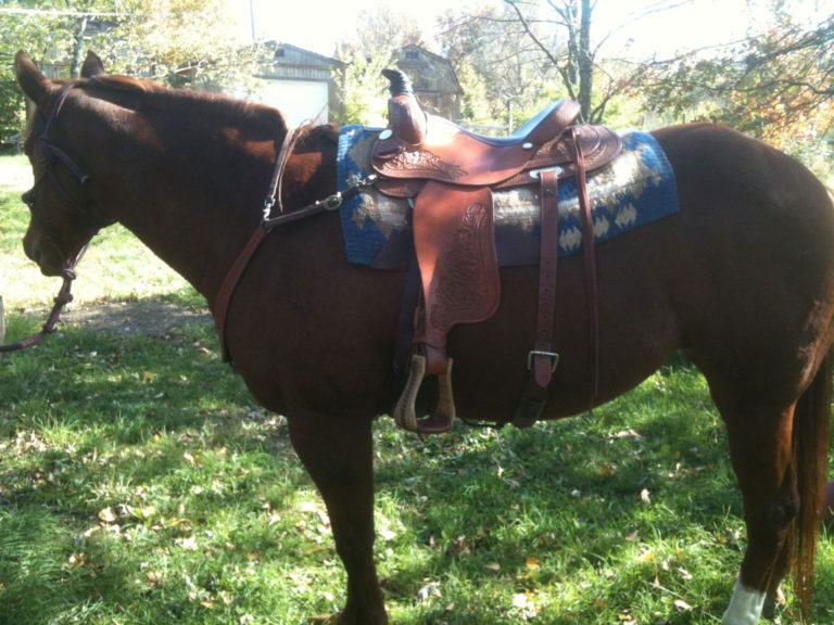 Jewell-western-saddle-tack-kb-2400