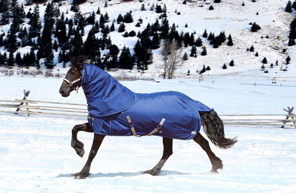 Kensington Protective Products Announces Turnout Combos promo image