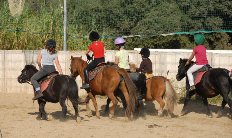 kids-ponies-english-lesson-2400
