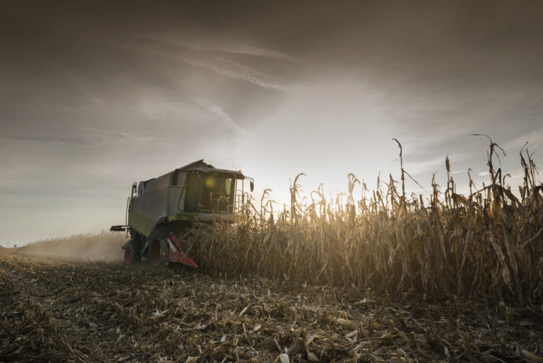 Labeling of Genetically Modified Foods promo image