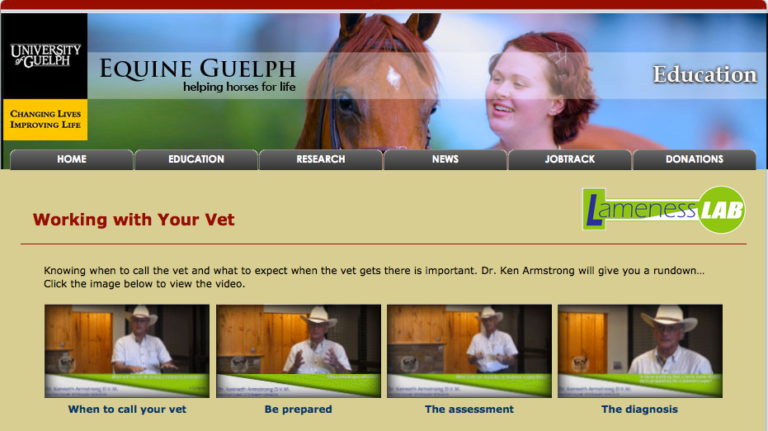 Lameness Detection is Your Duty promo image