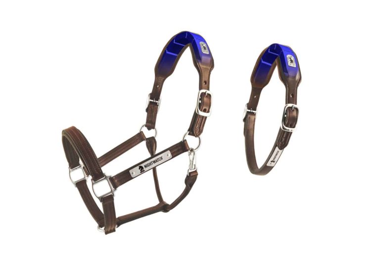 Collar at a Special Introductory Price promo image