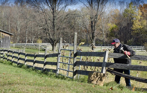 man-fixing-broken-wood-fence-on-farm-1500