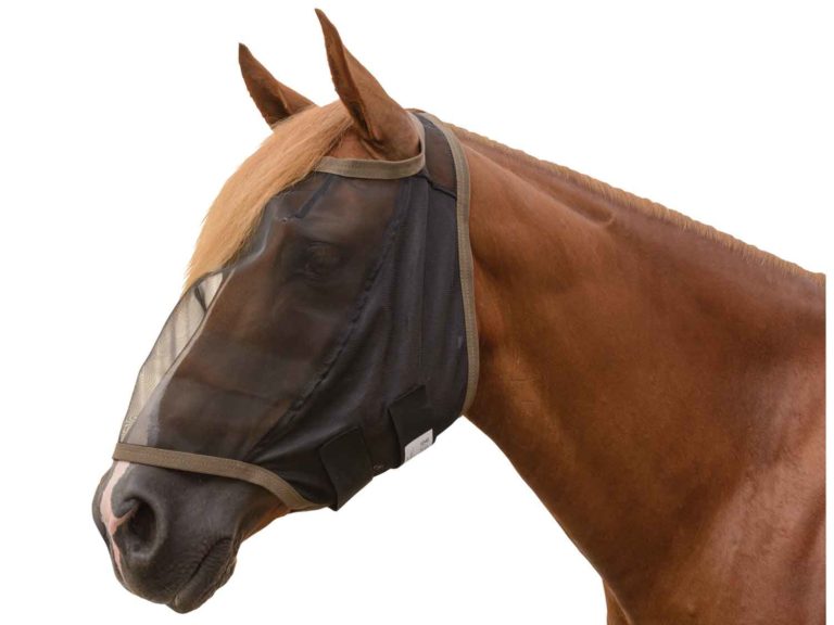 Manna Pro Introduces Two New Fly Control Masks for Horses promo image