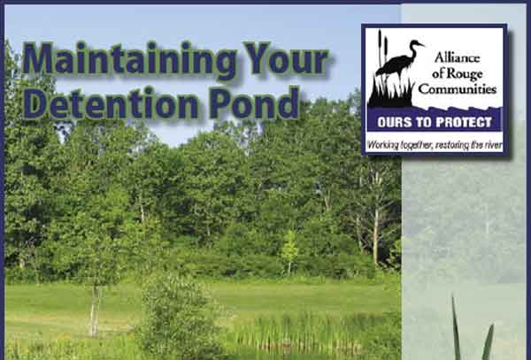 Michigan-detention-pond-cropped-600