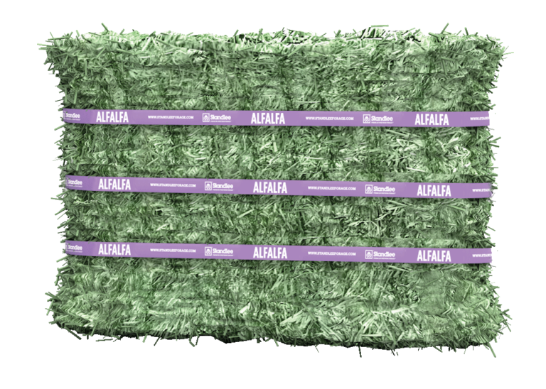 Misconceptions in Selecting Forage for Horses promo image
