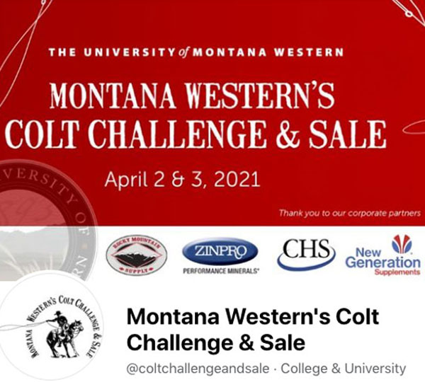 Montana-Western-Colt-Challenge-and-Sale-FB-page-600V