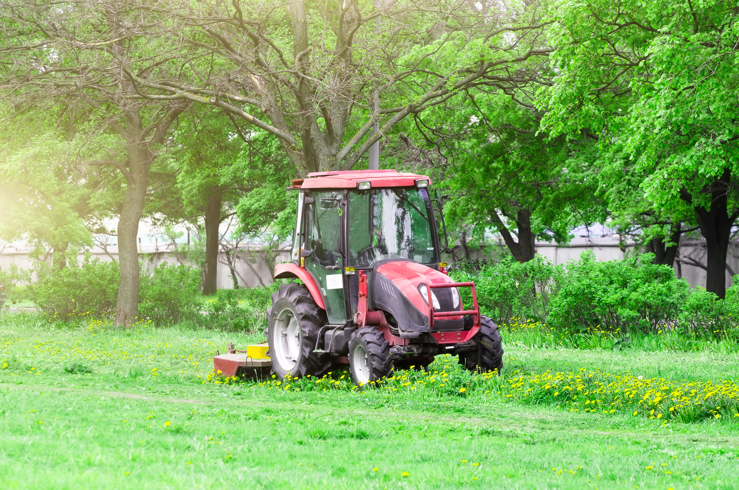 MOWING THE GRASS AND COMPLETING THE HORSE STABLE