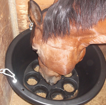 Natural Feeding promo image