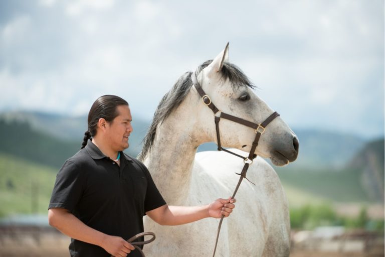 Navajo Student Helps Launch CSU Vet Program in His Home Community promo image