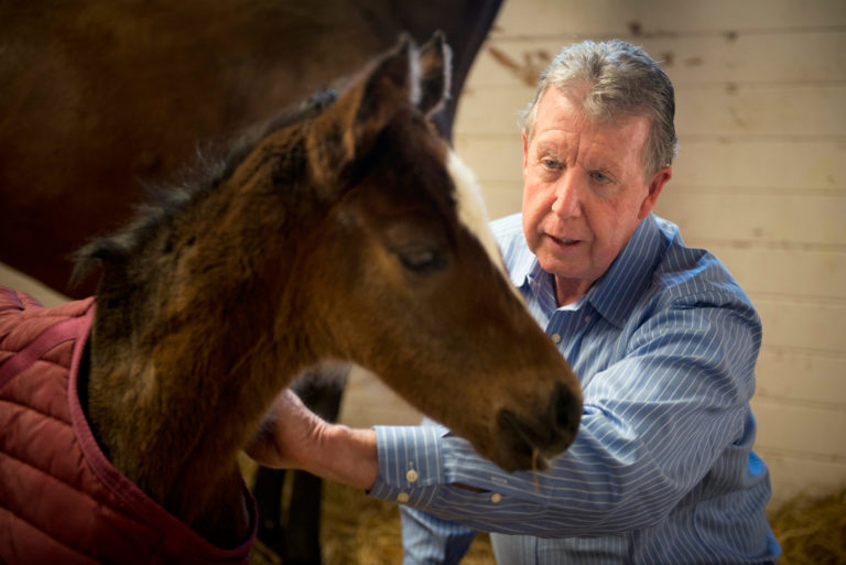 Newborn Foals May Offer Clues to Autism promo image