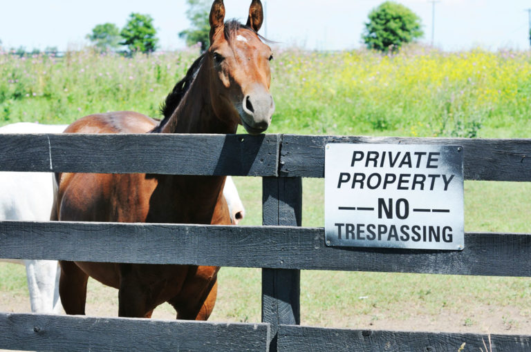 no-trespassing-sign-fence-horse-1200