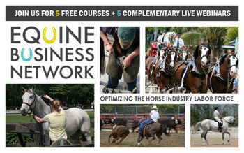 Online Education promo image