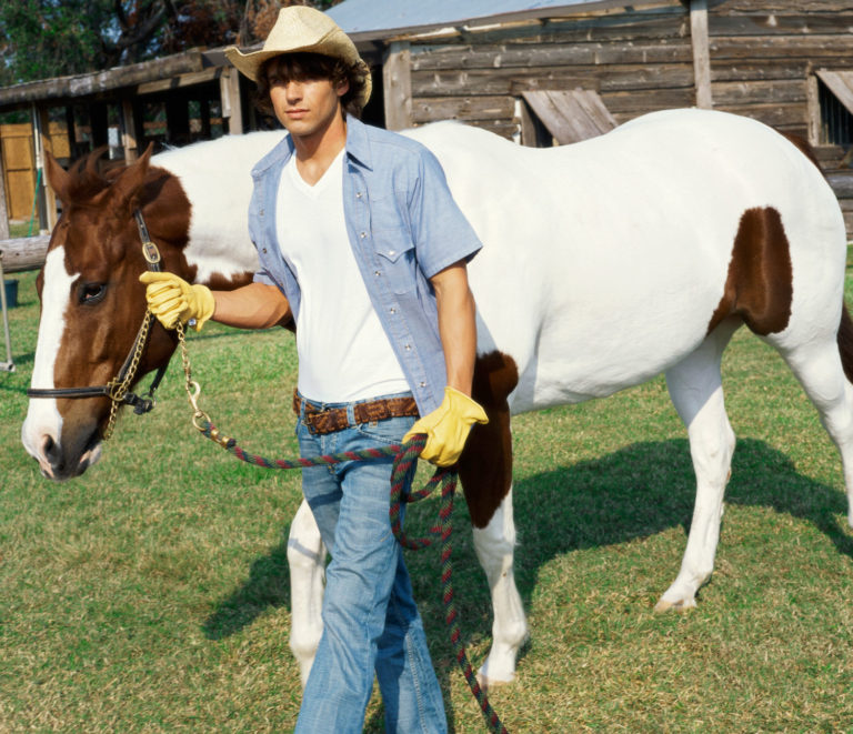 Other Therapies for Equine Inflammation Control promo image
