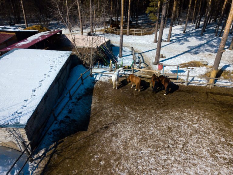 overhead-view-outside-paddock-snow-horses-iStock-936388916-2400