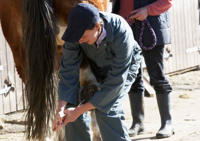 Penn Vet First Tuesday Lecture Series for March: Is My Horse Lame or Neurologic promo image